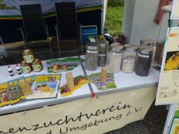Grünber auf der Rolle 2019