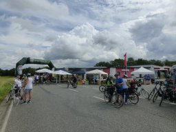 Grünber auf der Rolle 2019
